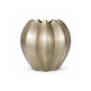 Tulipán